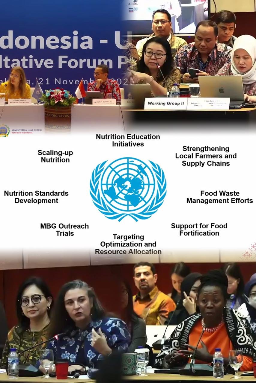 Laporan Pertemuan Pleno Indonesia-United Nations Consultative Forum (IUNCF)